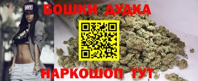 гидра Можга
