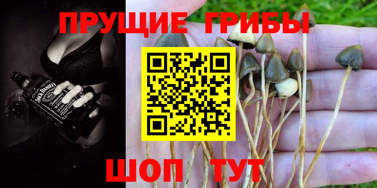 Галлюциногенные грибы прущие грибы  Вход с VPN  Уварово 